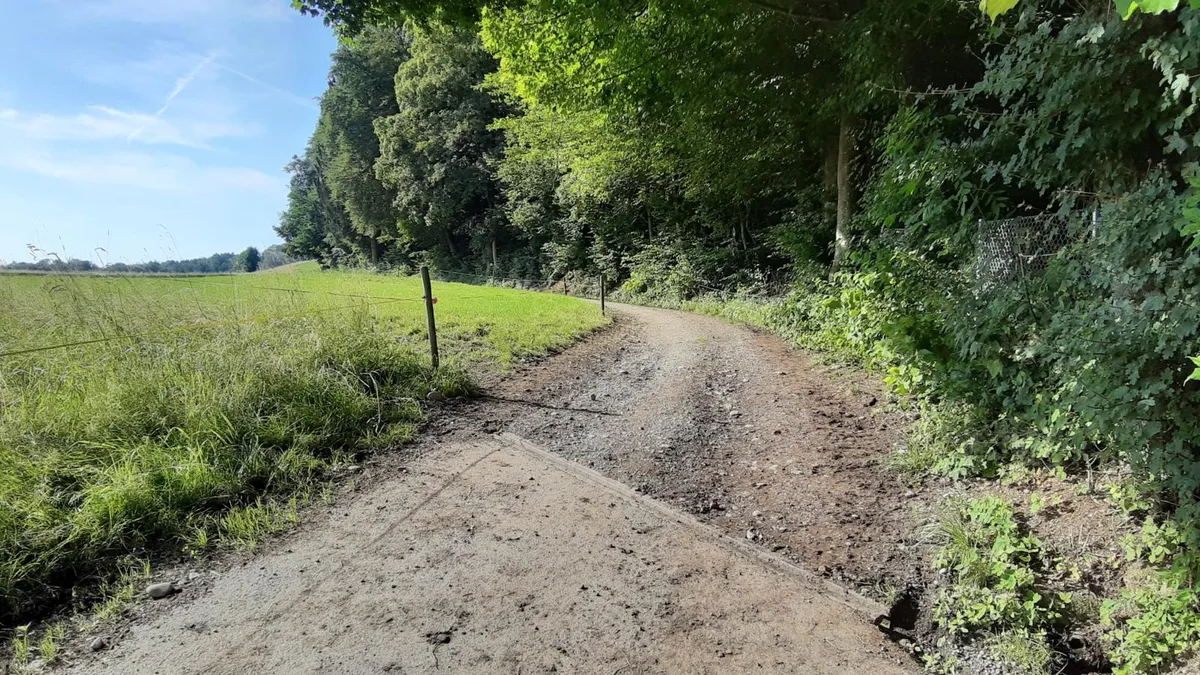Erst der asphaltierte Weg, dann der Kiesweg.