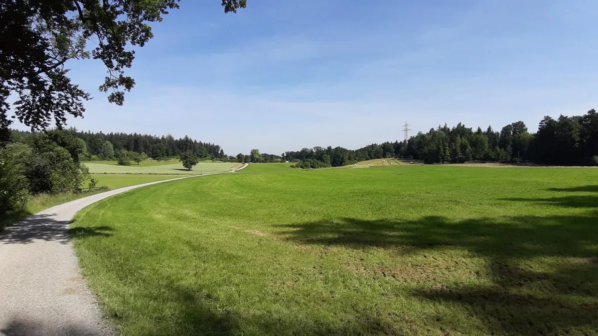 Waldlichtung im Gebiet Geeren.