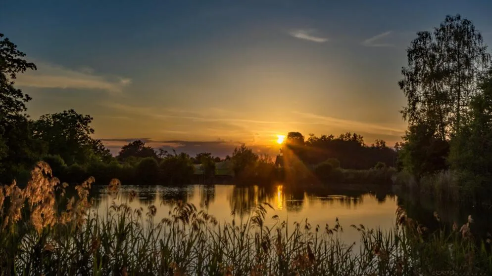 krebsiweiher_pfaeffikon_leserbild_max_studer Der Krebsiweiher soll saniert werden. Zwei Stimmberechtigte aus Pfäffikon haben dagegen einen Stimmrechtsrekurs eingelegt.