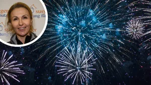 20220725-bildkombo-feuerwerk Wer laut Susy Utzinger nicht auf Feuerwerk verzichten will, soll darauf achten, möglichst wenig Lärm zu verursachen., Katzen sollte man am 1. August unter Hausarrest stellen., Und beim Spaziergang mit dem Hund gilt Leinenpflicht.