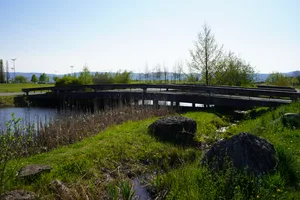 dsc00957 Die Holzbrücke im Griespark soll bald saniert werden, dafür hat der Gemeinderat kürzlich einen Kredit verabschiedet., Wer nicht aufpasst, kann leicht über die hervorstehenden Dielen der Brücke stolpern., Sturzgefahr bietet sich auch für unaufmerksame Velofahrer. Die Längsausrichtung der Bretter soll einer Querausrichtung weichen.
