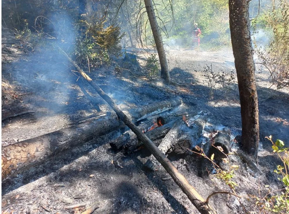 brand2 In Rüti kam es am Donnerstag zu einem Waldbrand., Dabei sind 600 Quadratmeter Fläche verbrannt., Nebst der Feuerwehr Rüti standen auch die Feuerwehren Hinwil und Dürnten im Einsatz. , Die Brandursache ist nicht klar.