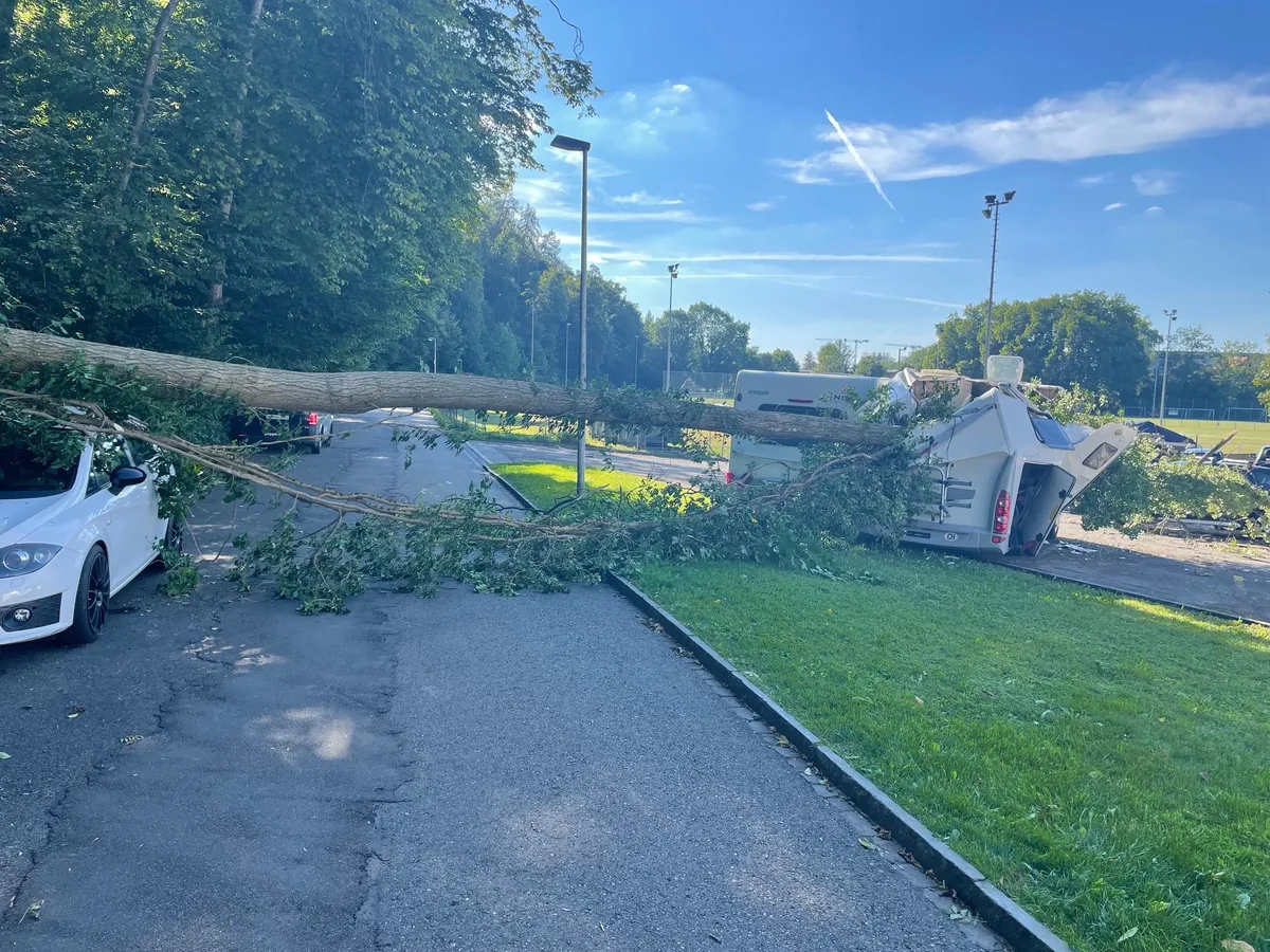 baum Stadtgrün-Mitarbeitende kümmern sich um die verendeten Bäume. (Bild: Sandra Stählin)
