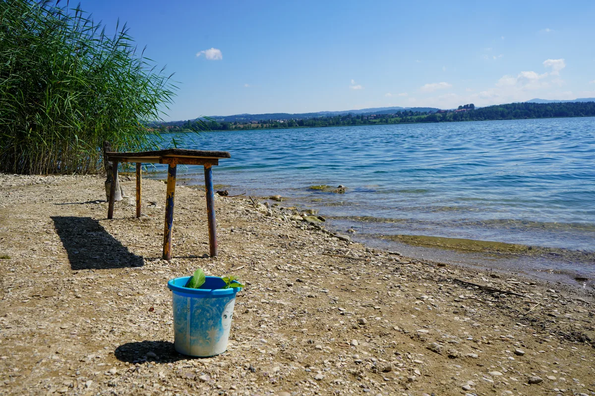 Eine kleine Bucht am Greifensee bei Maur.