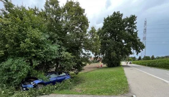 unfall_egg Nach einem Ausweichmanöver landete ein Autofahrer in Egg in einem Strassengraben. (Foto: Kapo Zürich) , Die Kantonspolizei sucht Zeugen, die den Unfall beobachtet haben. (Symbolbild: PD)