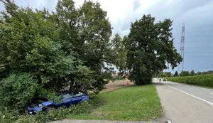 unfall_egg Nach einem Ausweichmanöver landete ein Autofahrer in Egg in einem Strassengraben. (Foto: Kapo Zürich) , Die Kantonspolizei sucht Zeugen, die den Unfall beobachtet haben. (Symbolbild: PD)