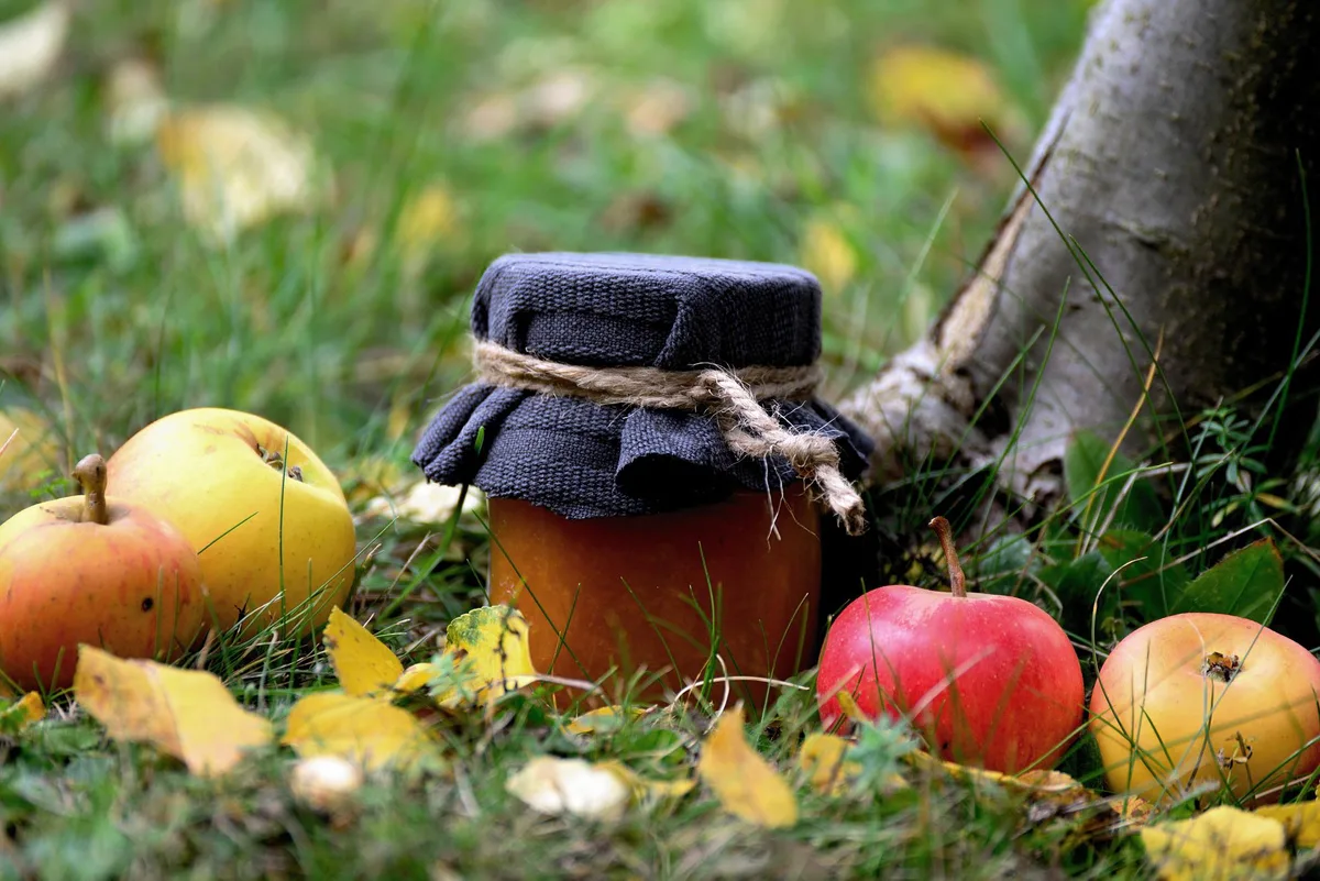 jam-4521020_1920 Läutet den Herbst ein: Apfelkonfitüre.