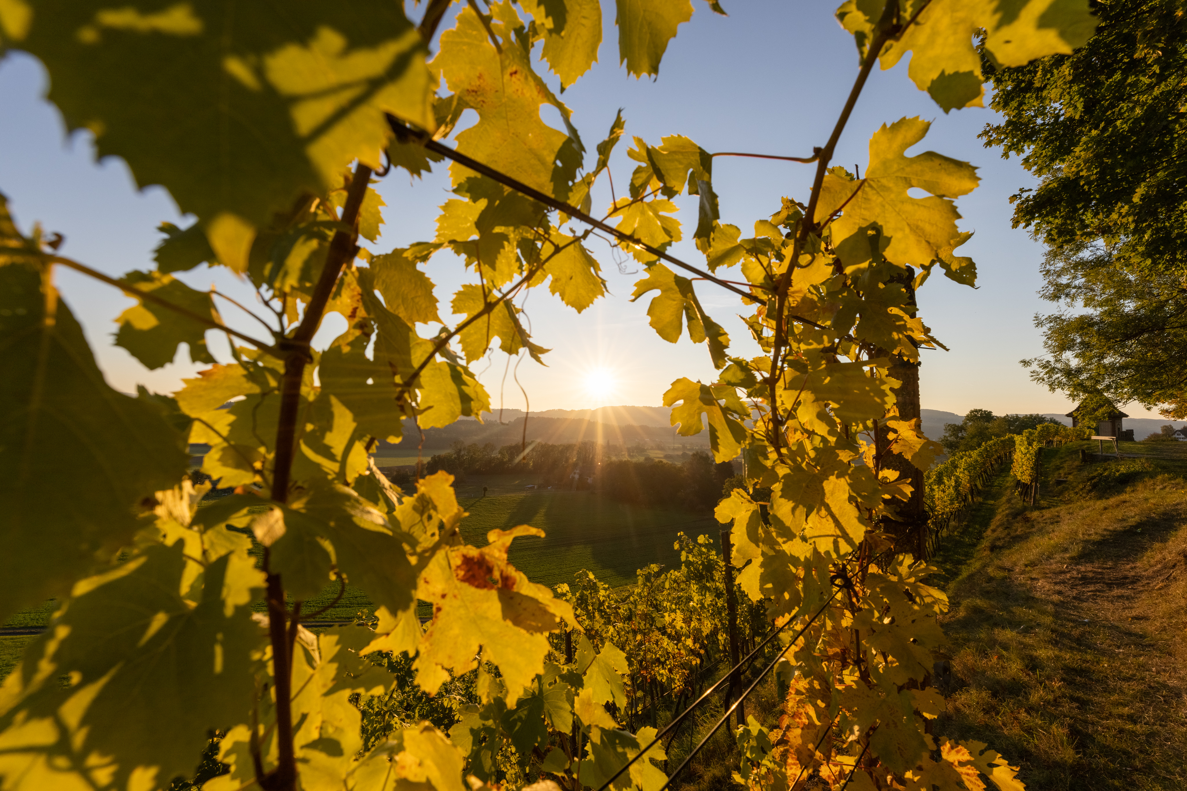 Der Herbst von seiner schönsten Seite.
