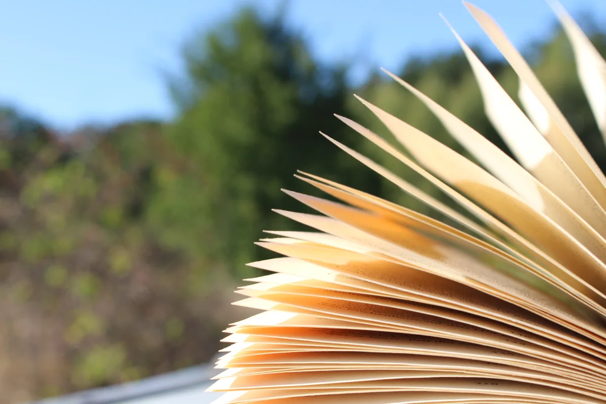 justin-dream-b-h6dyoycbc-unsplash Im Zürcher Oberland werden fleissig Bücher geschrieben. Hier ein paar Empfehlungen für den Herbst.