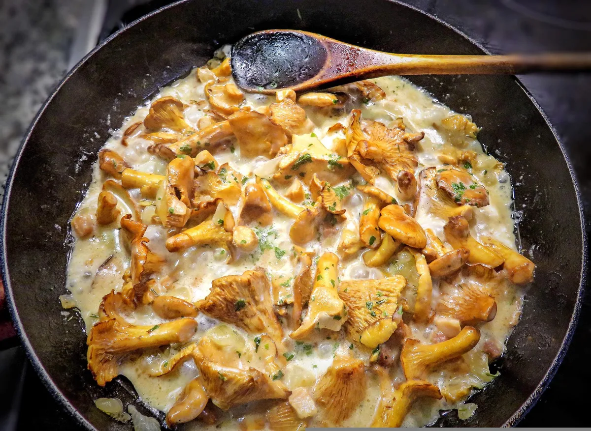 mushroom-6541140_1920 Gelingt mit fast jedem Speisepilz, hier mit dem Pfifferling: Eine cremige Pilzsauce.