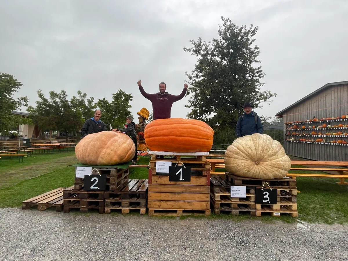 kuerbiswiegen_2022_168 Florian Isler aus Esslingen hat den schwersten Kürbis der Saison 2022., Der Gewinner zeigt sich sichtlich stolz., Der Sonnenblumenkopf des Esslingers knackte mit 73,3 cm Durchmesser sogar den Europarekord.