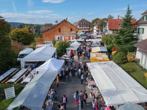 strassenmarkt_landvogteimarkt Der Landvogteimarkt in Grüningen bietet viele Strassenstände., Alte Traktoren können bestaunt werden, Viele Köstlichkeiten gilt es auszuprobieren.