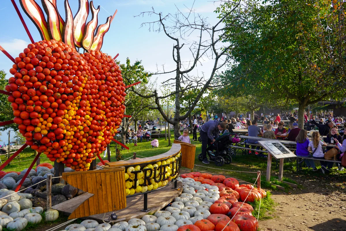 dsc03047 Der Juckerhof lockt, gerade zur Kürbiszeit, viel Publikum an. Jetzt geben die Preise vor Ort zu reden., So gibt es einige Beschwerden, dass die Produkte vor Ort zu teuer sind., 26 Franken zahlte eine Frau für zwei Bier, ein Stück Kuchen und zwei Joghurts. «Zu viel», sagt sie., Mediensprecherin Nadine Gloor kontert und verweist auf Gratis-Aktivitäten.