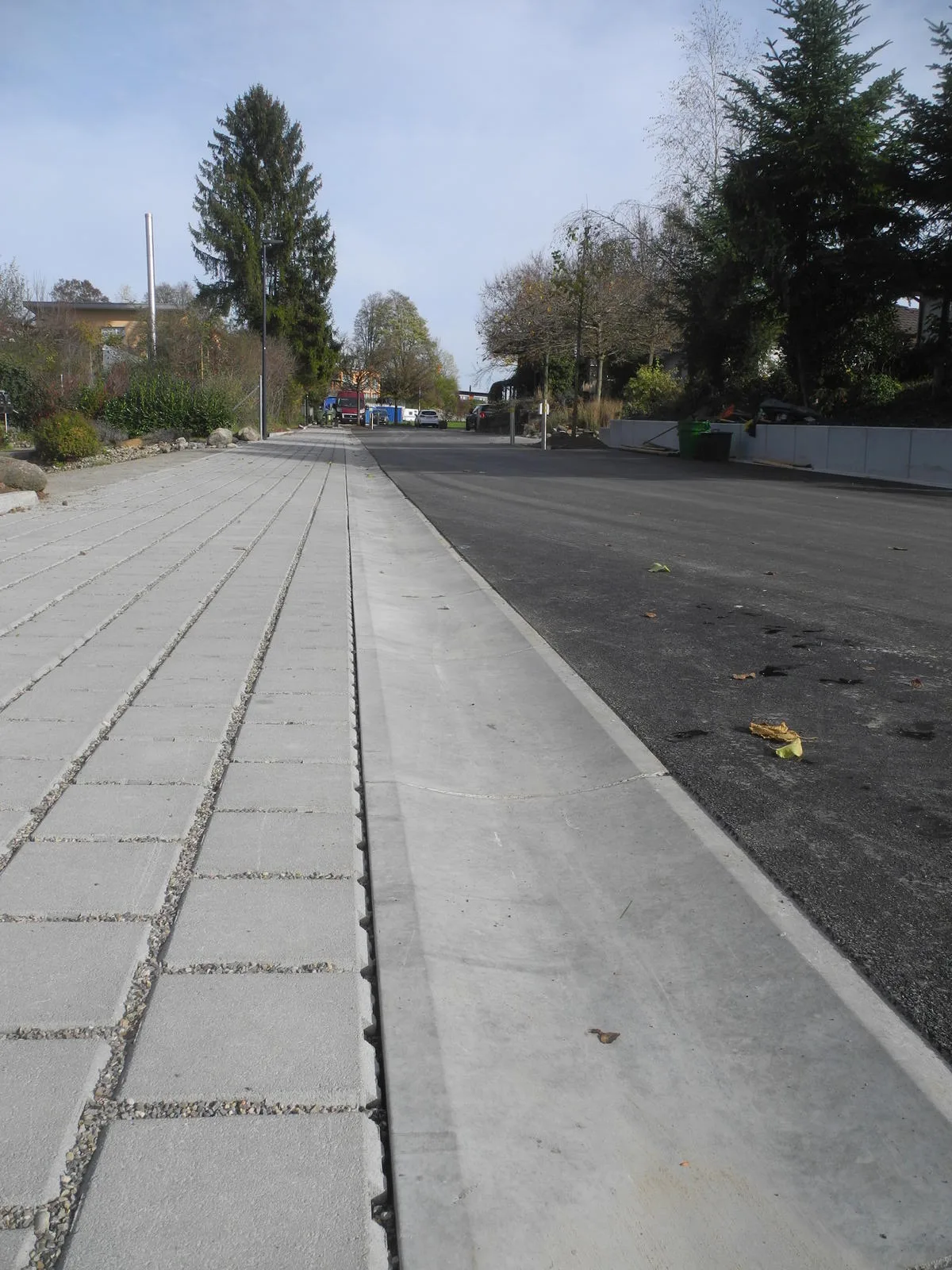 Die Entwässerungsschale ist nicht an der Kanalisation angeschlossen, sondern leitet das Regenwasser zu den Baumgruben.