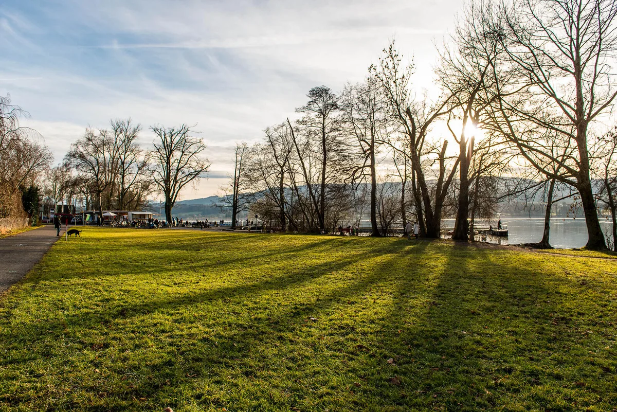 Die Surferwiese am Greifensee ist bereits ein bestehendes Erholungsgebiet, das Erhalten und Entwickelt werden soll. Blick auf die Surferwiese am Greifensee