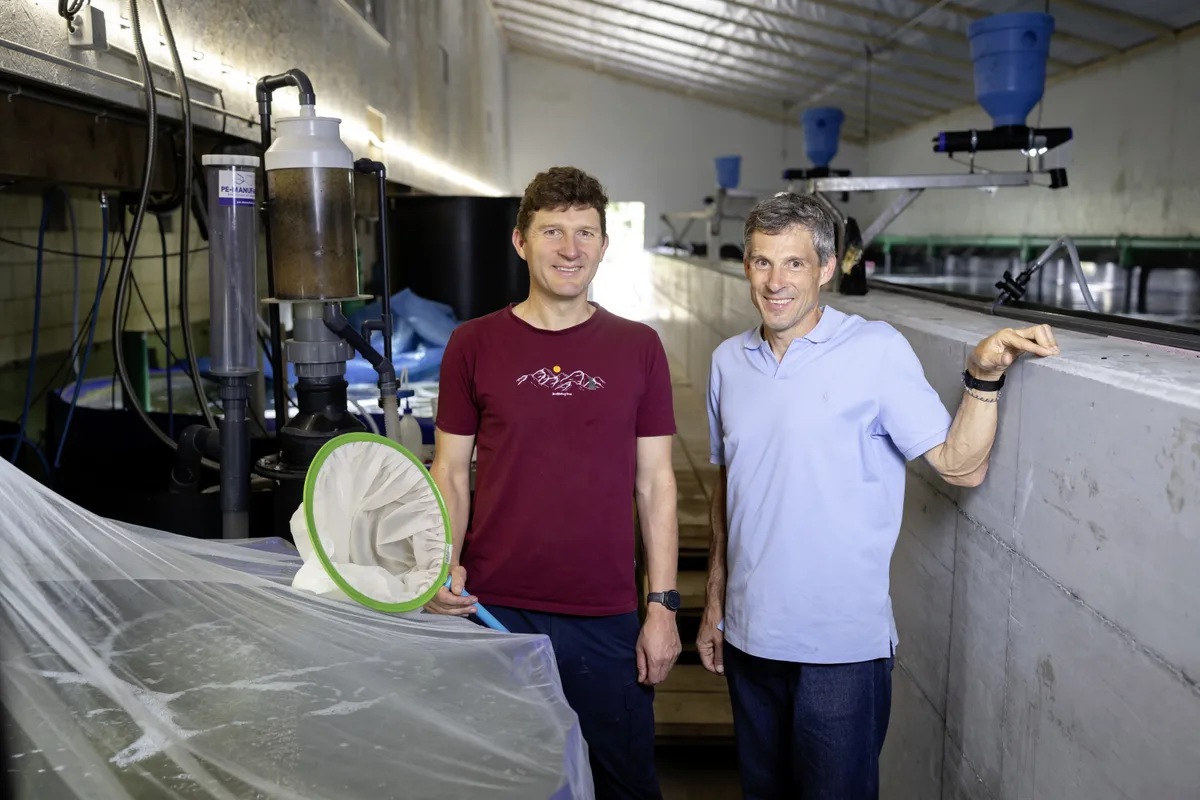 Lukas (links) und Dany Schulthess wagen sich an eine ungewöhnliche Proteinproduktion.