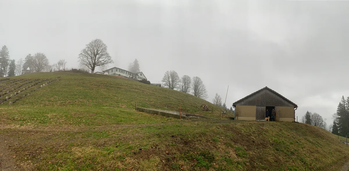 Blick auf das Restaurant Bachtel-Kulm sowie den Schwingplatz und einen Stall.