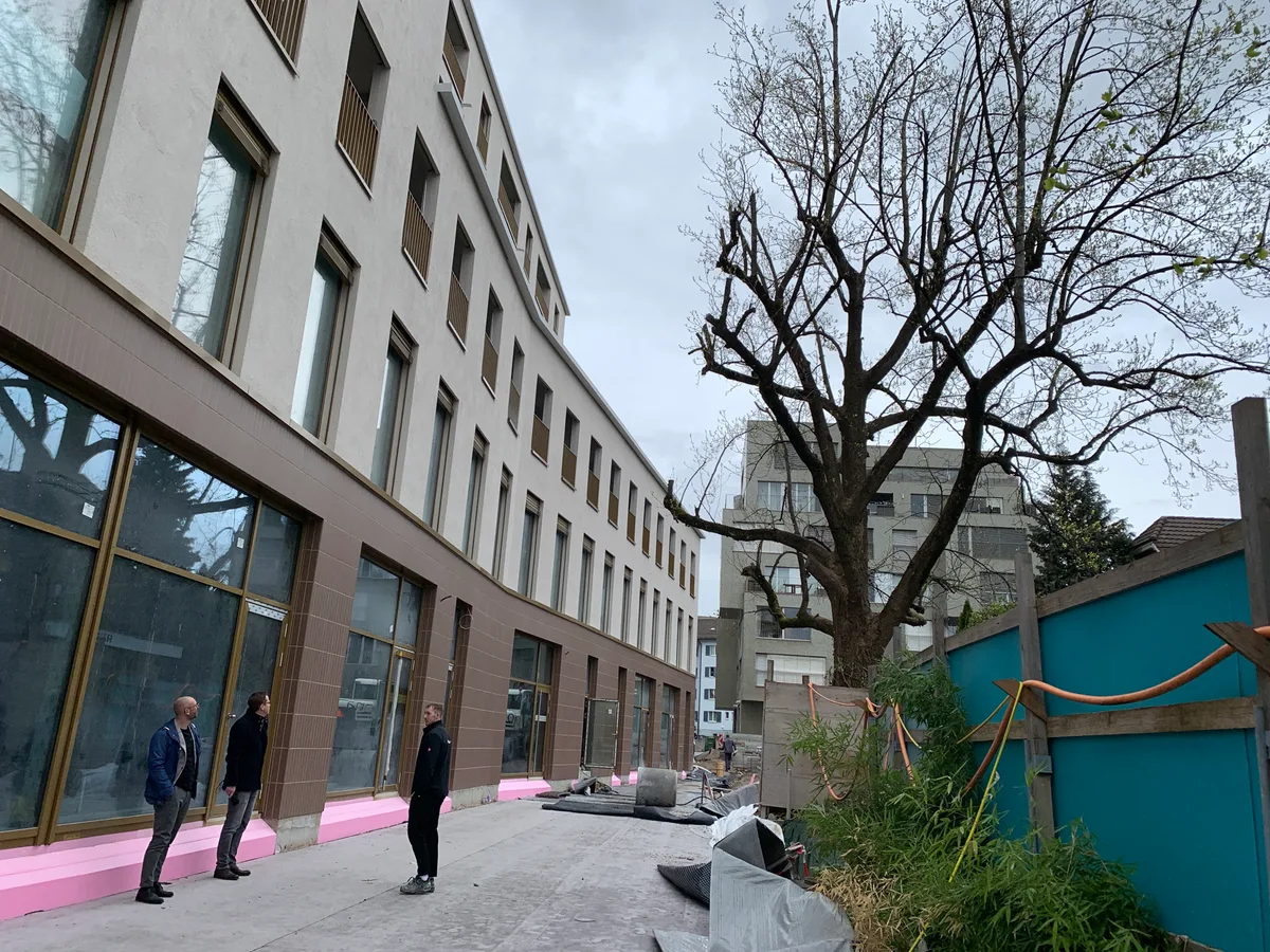 Ein Neubau und ein Baum. 