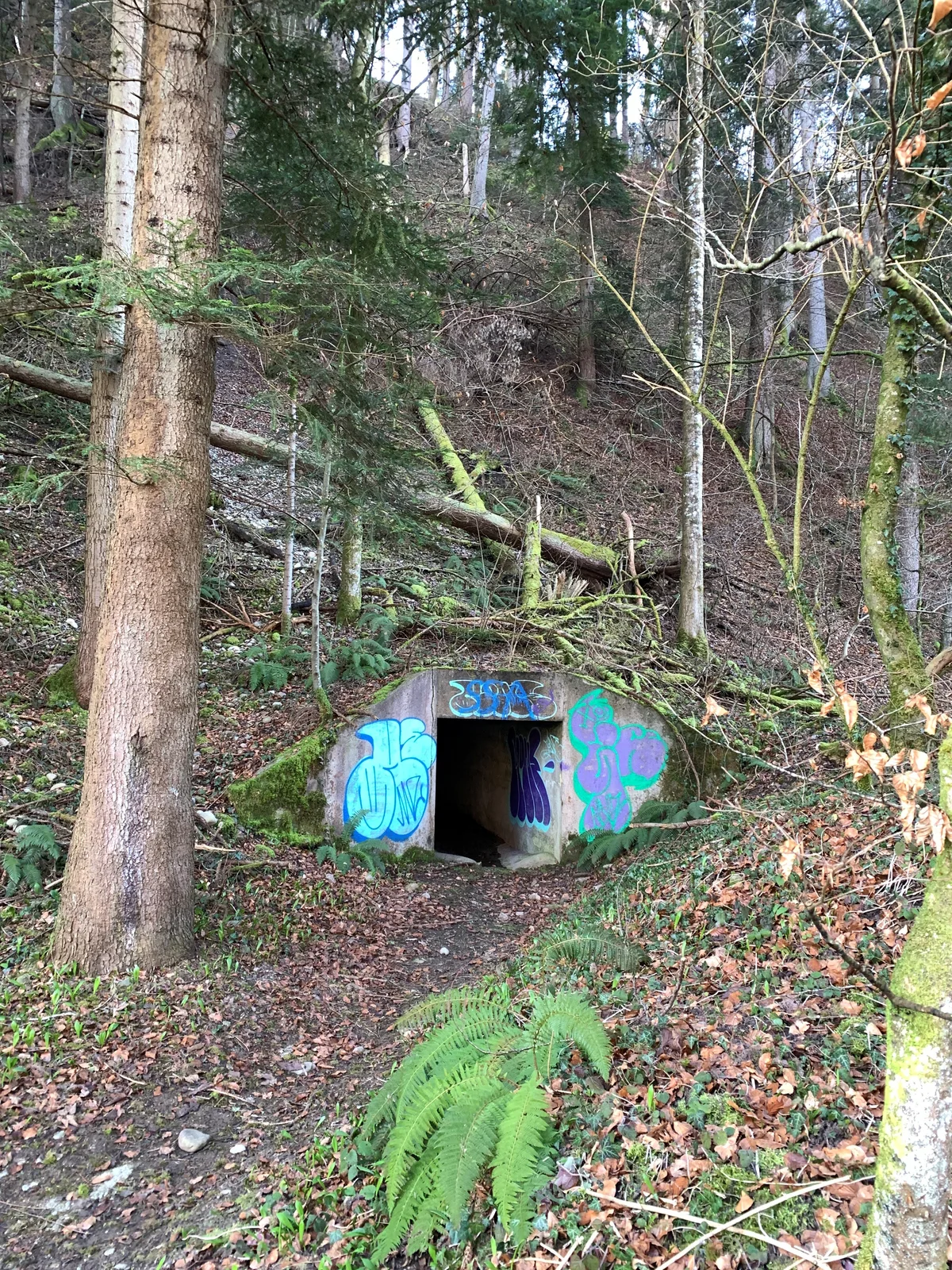 Ein versprayter Stolleneingang im Wald. 
