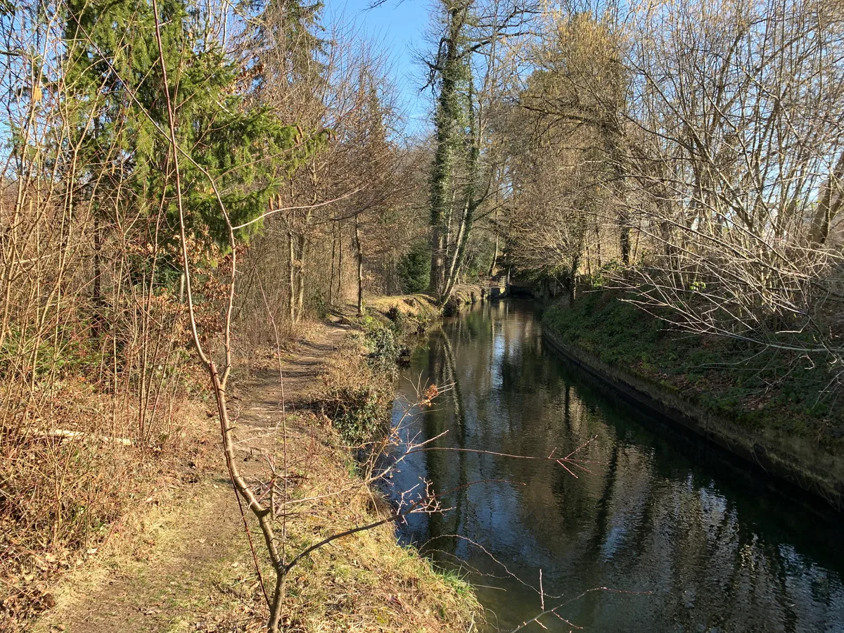 Ein Wasserkanal im Wald.