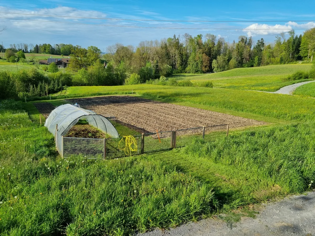 Das Feld des Esslinger Riesengemüse-Züchters Florian Isler im Frühling.