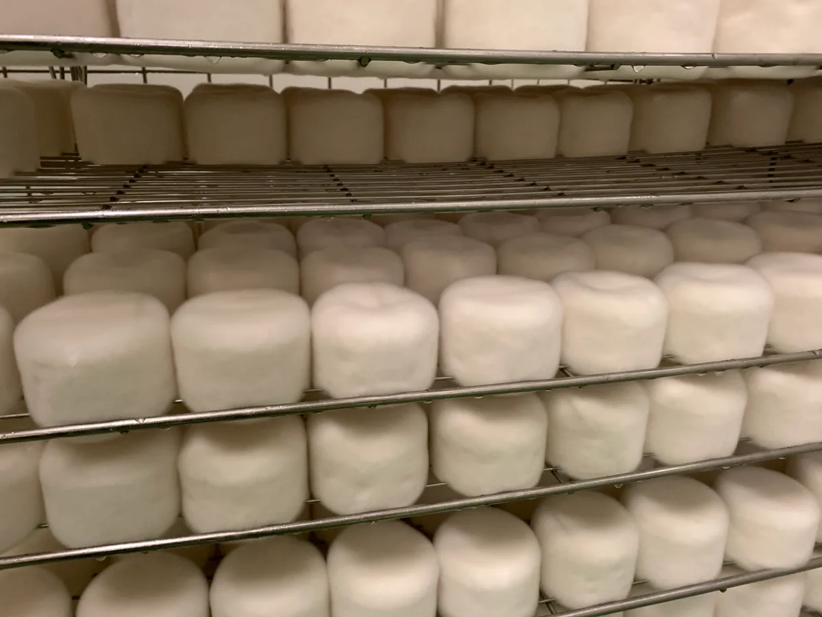 Roher Käse im Gestell.