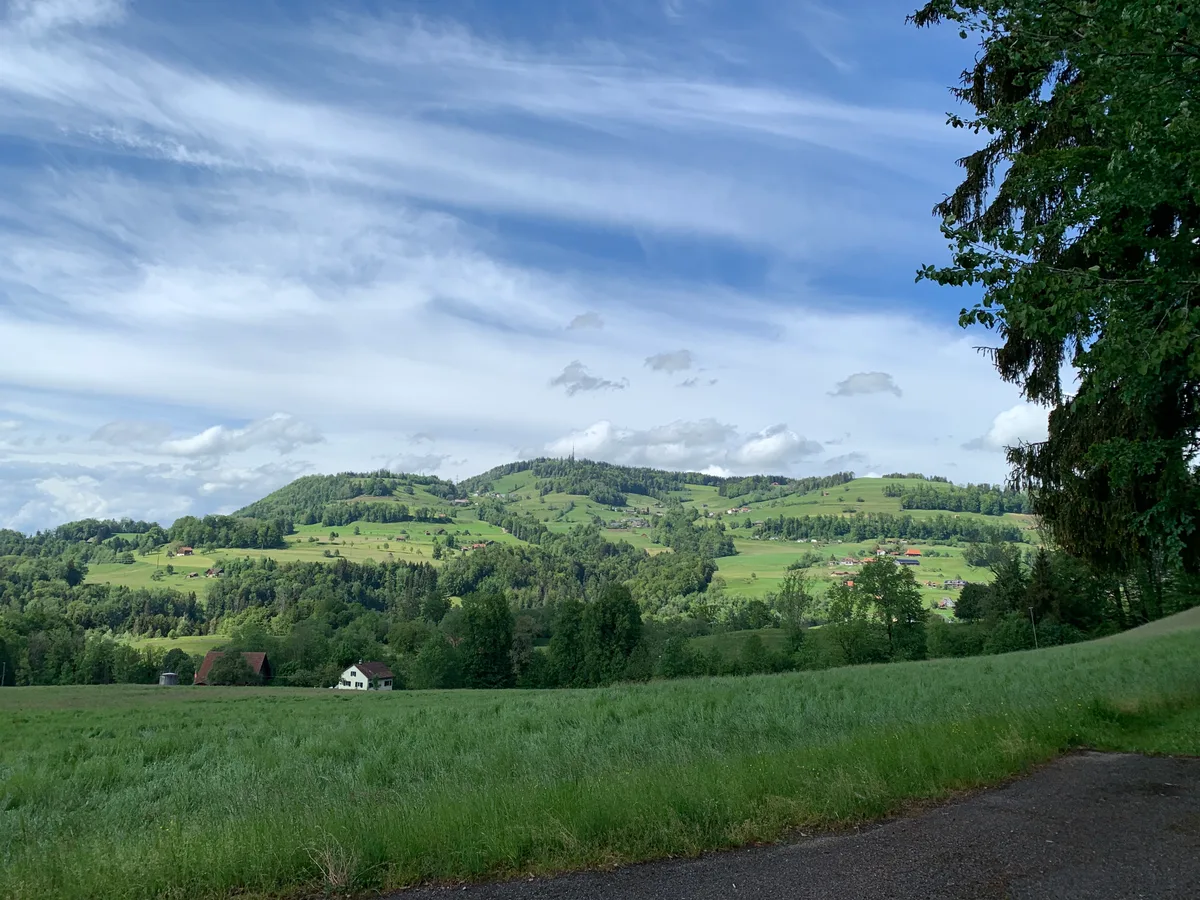 Vom Waldrand am Batzberg öffnet sich der Blick hinüber zum Bachtel. 