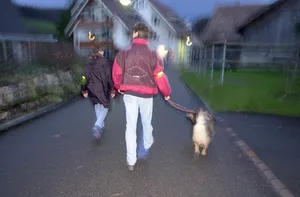 31986265-4 Die frühe Dunkelheit macht Diebe. In manchen Gemeinden organisieren sich Quartierbewohnende in Bürgerpatrouillen.
(Symbolbild)