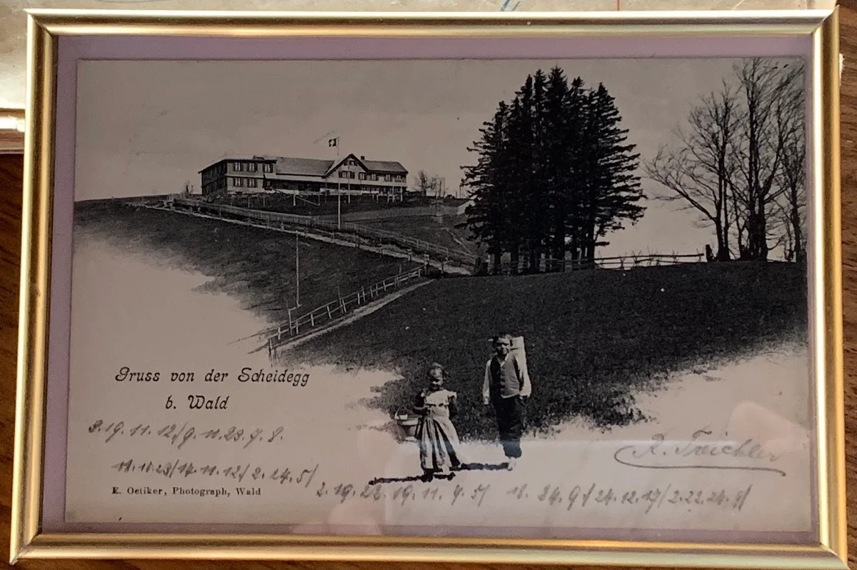 Diese Postkarte von 1903 zeigt die Alp Scheidegg, wie sie sich bis 1925 präsentierte, als das Kur- und Gasthaus abbrannte. Diese Postkarte von 1903 zeigt die Alp Scheidegg, wie sie sich bis 1925 präsentierte, als das Kur- und Gasthaus abbrannte.