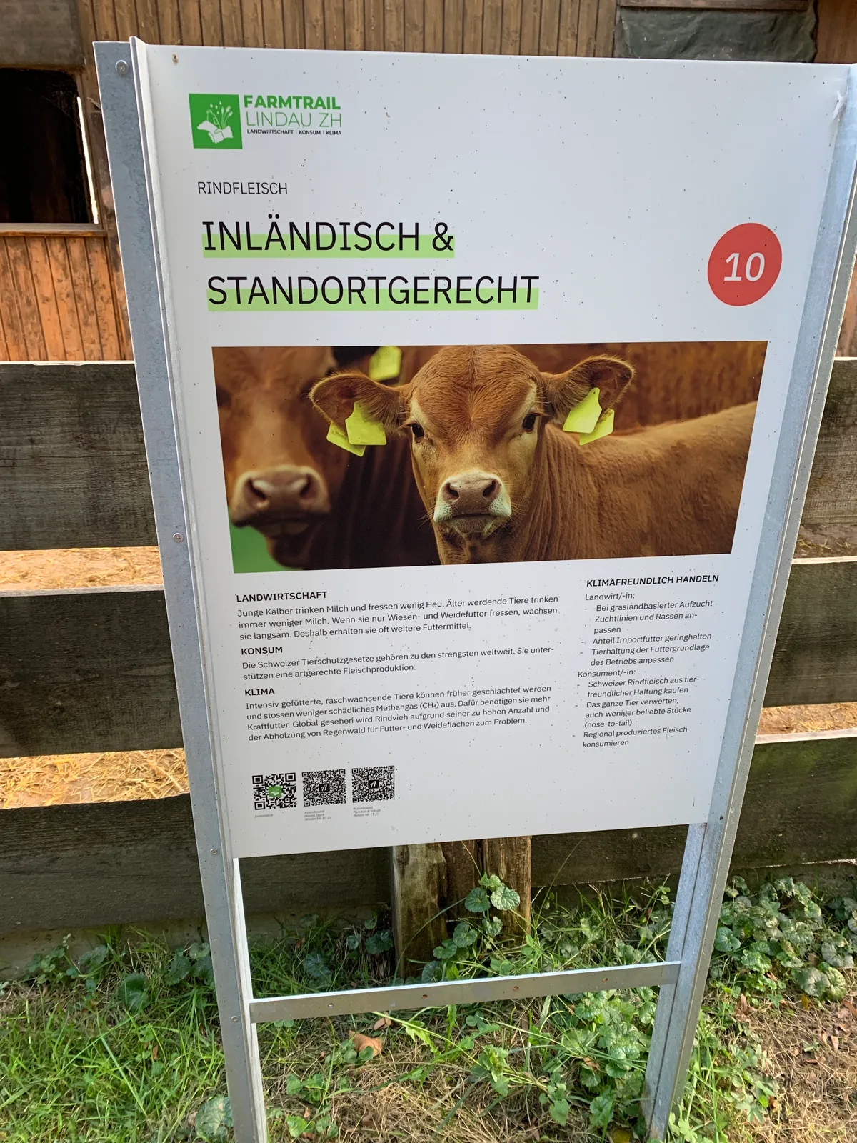 Eine Informationstafel mit Kühen. 