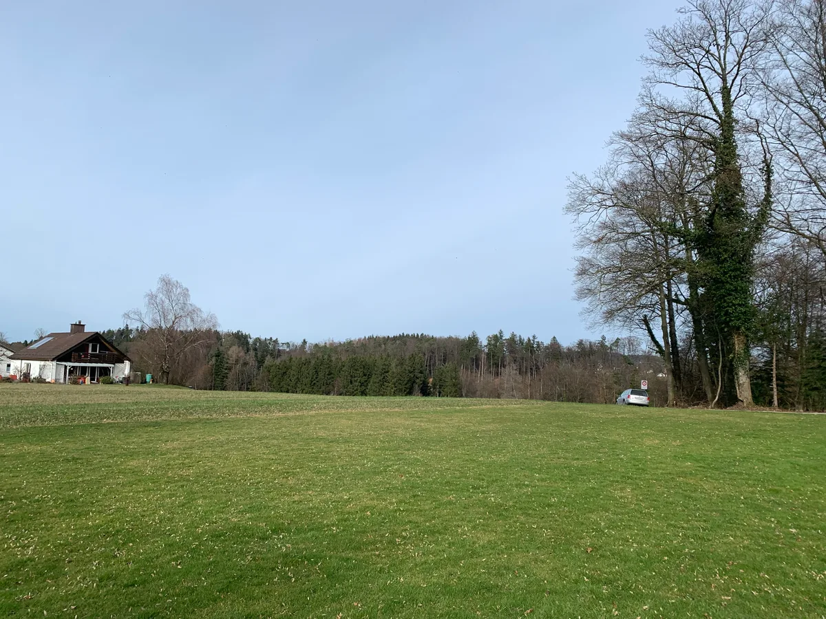 Standort Wiese der geplanten altersdurchmischtes Wohnen Alterswohnungen in der Grossweid Seegräben, aufgenommen am 22.2.2024