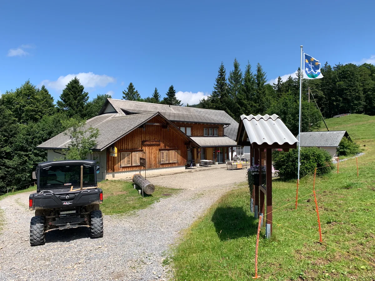 Besuch auf der Farneralp ob Wald am 23. Juli 2024 bei Monika und Manuel Schuler, den neuen Besitzern der Alp mit Kälbchen, Rindern Kühen und Geissen Ziegen und zwei Katzen