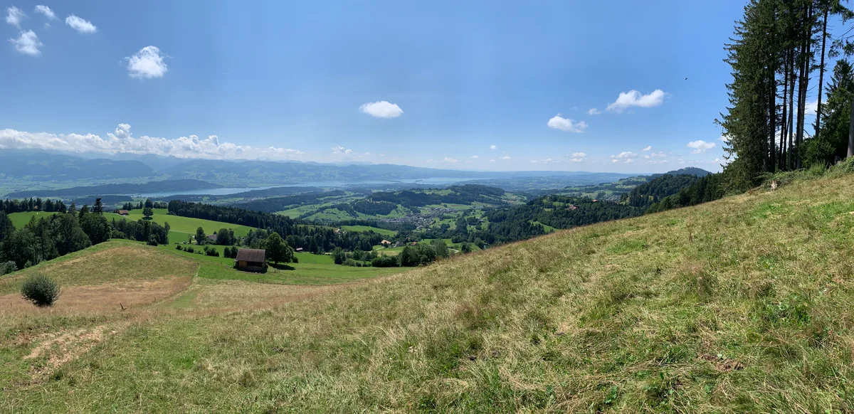 Besuch auf der Farneralp ob Wald am 23. Juli 2024 bei Monika und Manuel Schuler, den neuen Besitzern der Alp mit Kälbchen, Rindern Kühen und Geissen Ziegen und zwei Katzen; im Bild: Blick vom CHrinnenberg Richtung Laupen (Wald) Oberland und Zürichsee