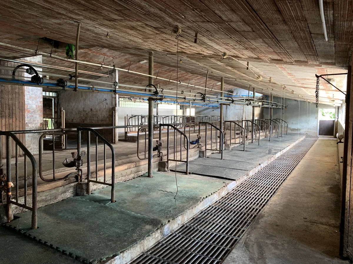Ansicht eines leeren Kuhstalls.