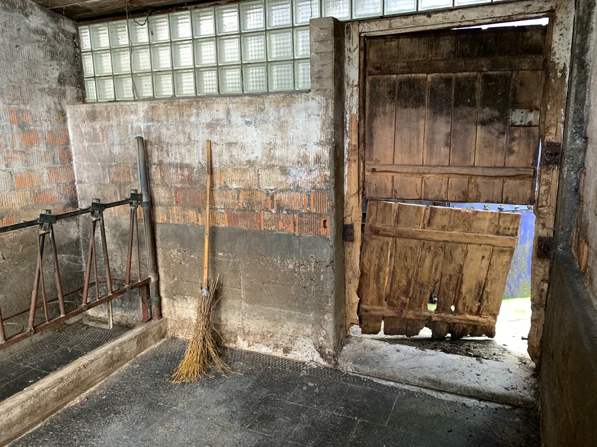 Ein alter Stallbesen und eine alte Türe in einem Stall.