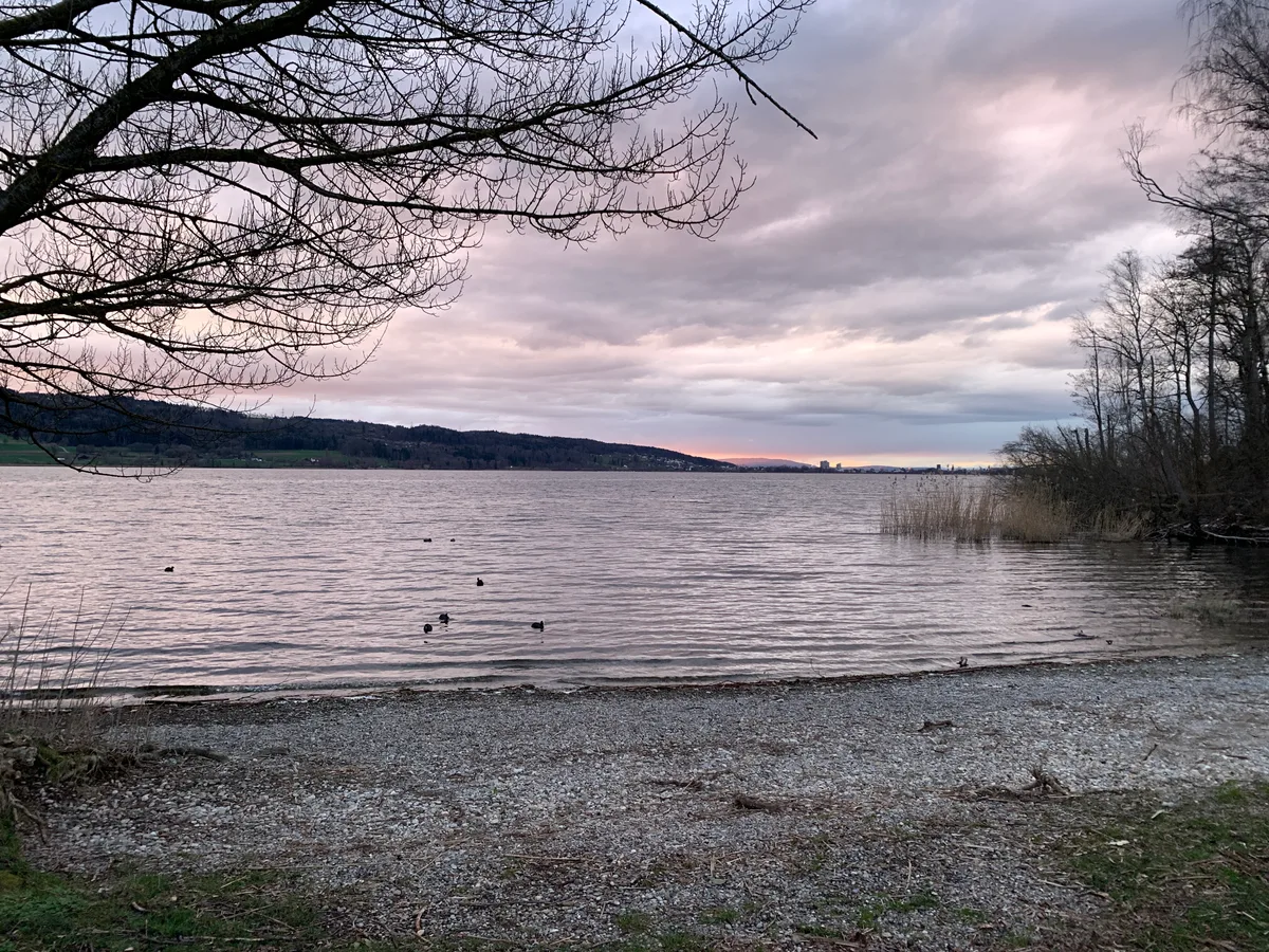 Blick von der Schifflände Niederuster am Greifensee Richtung Dübendorf, Skyline von Dübendorf im Abendrot mit See, Stimmung