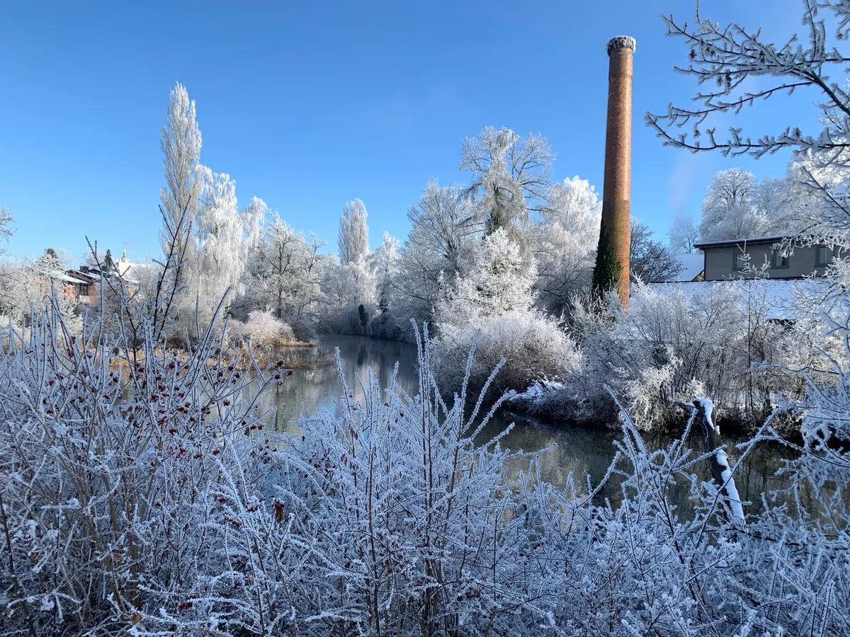 Winterzauber am Schönau-Weiher Ende 2024 Ansicht des Schönau-Areals mit der alten Spinnerei und dem Weiher, alles eingetaucht in Reif.