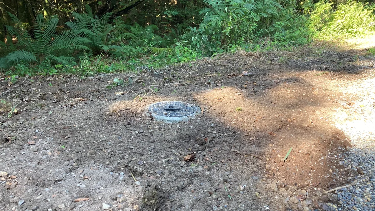 Eine verschlossene Bohrung im Wald bei Uster.