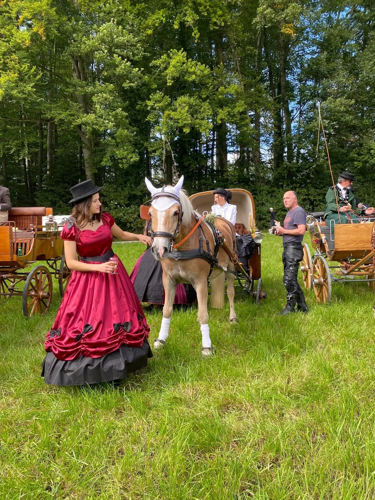 Der Haflinger ist froh, dass sich die Sonne nur zwischendurch blicken liess. Impressionen der Nostalgiefahrt Grüningen.