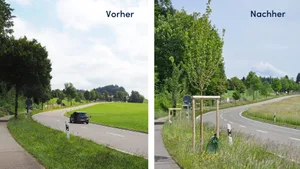 Vorher/Nachher-Bild der Kantonsstrasse in Gossau, Neubepflanzung zur Abkühlung Vorher/Nachher-Bild der Kantonsstrasse in Gossau, Neubepflanzung zur Abkühlung