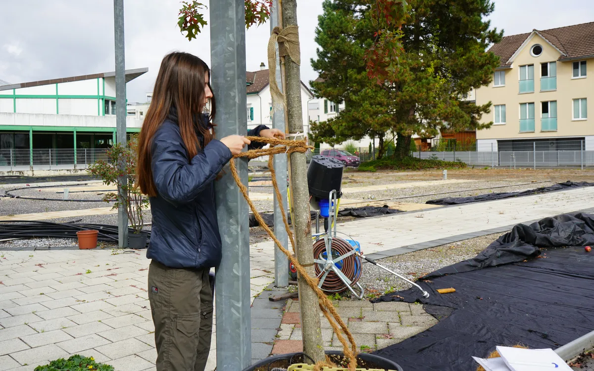 Eine Frau macht einen Baum witterungsfest. 