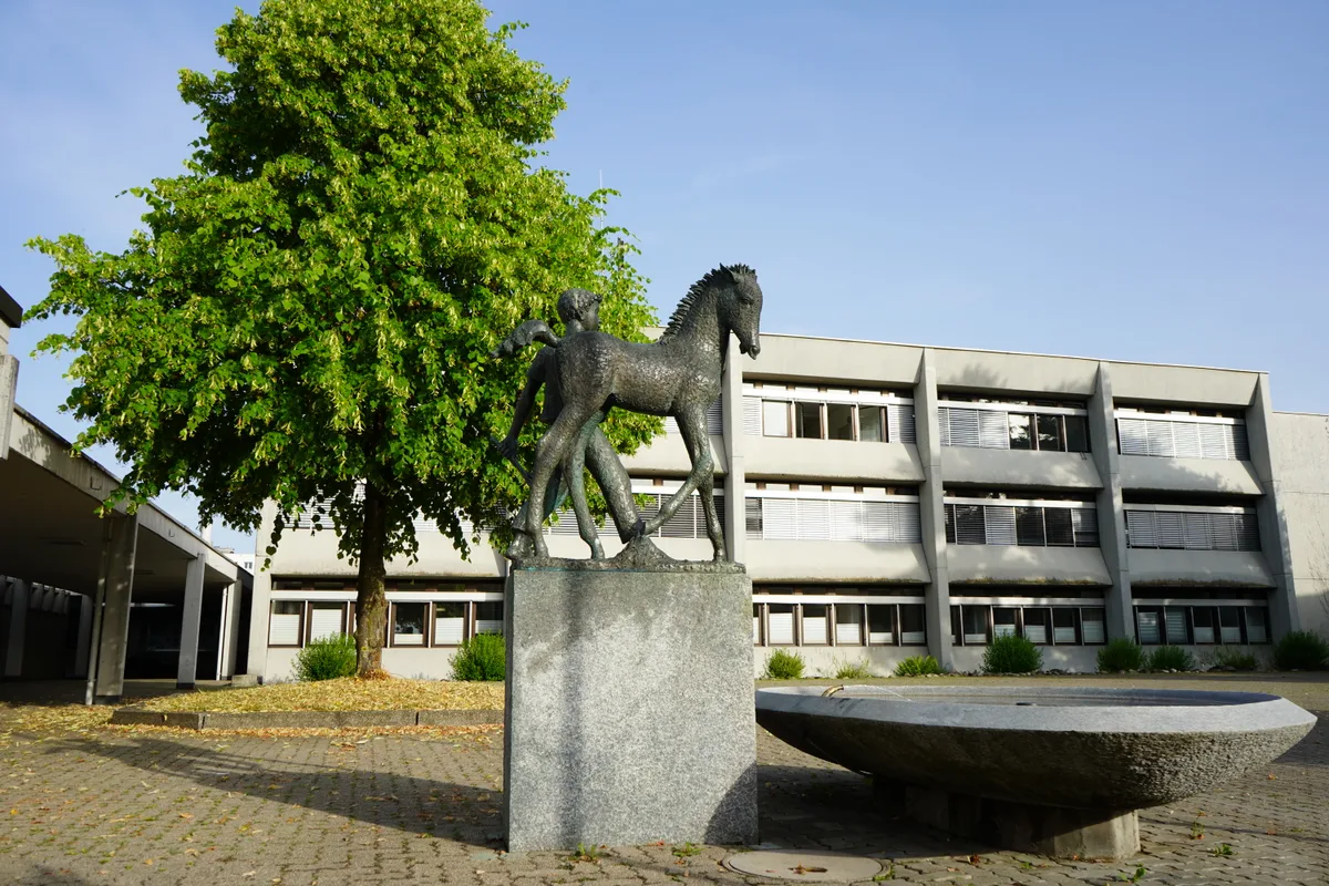 Blick auf ein grosses Haus, einen Brunnen und einen Baum.