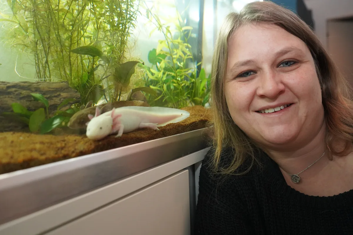 Manuela Mombelli aus Schwerzenbach lebt mit drei Axolotl zusammen.