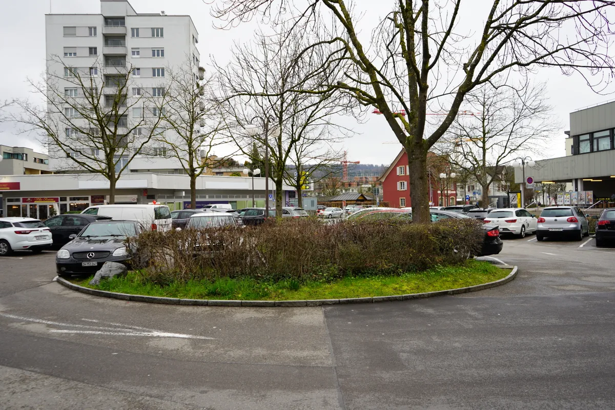 Übergabe der Unterschriften für den Erhalt der Parkfelder auf dem Adlerplatz in Dübendorf: Orlando Wyss, Claudia Günthart, Lukas Schanz, Stadtpräsident André Ingold, Patrick Walder, Roger Gallati, Paul Steiner (v.l.).