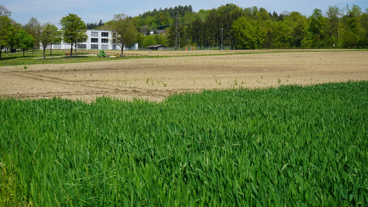 Hier im Eselriet soll das neue Feuerwehr- und Werkzentrum gebaut werden.