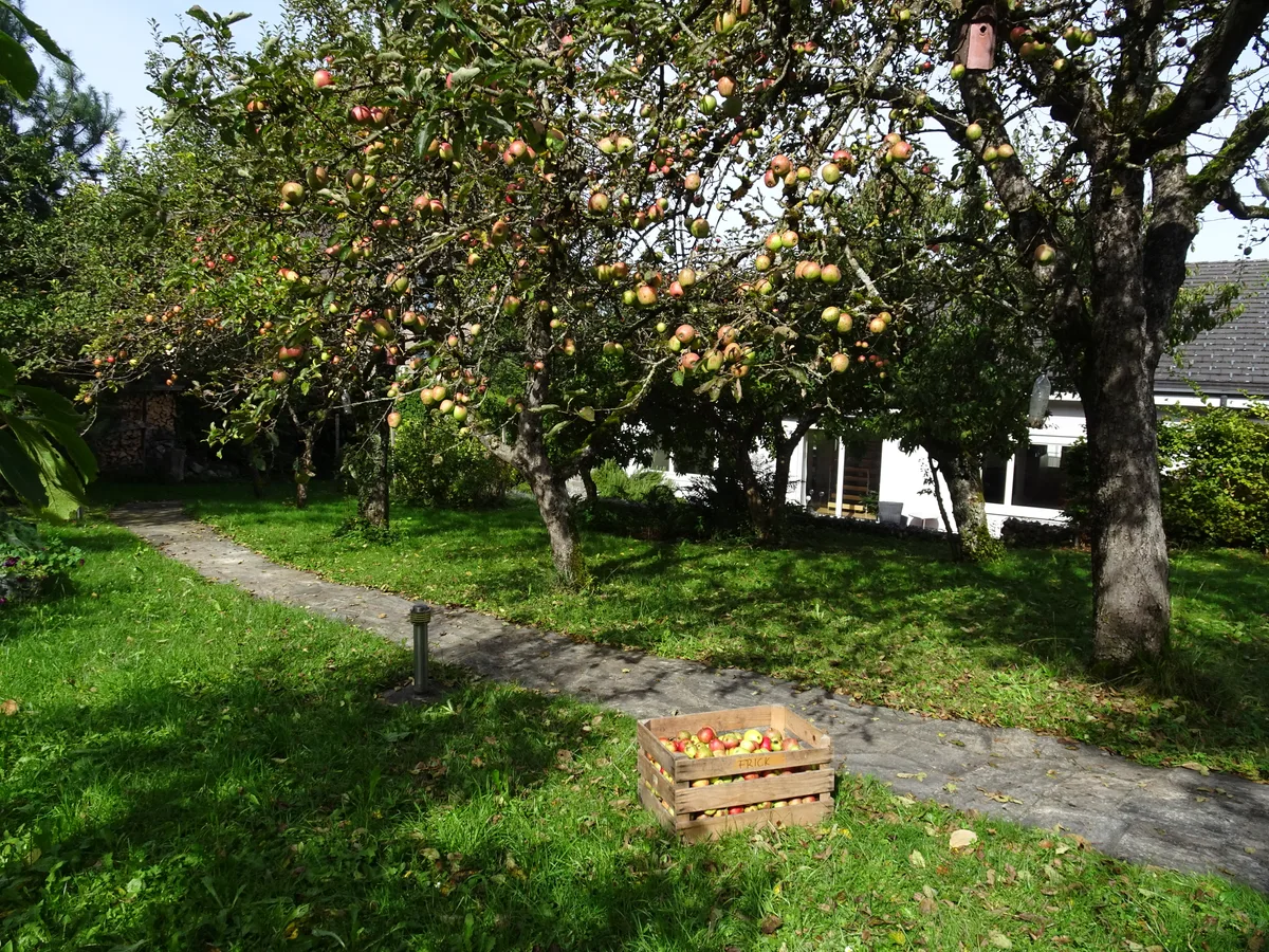 Das Ehepaar Frick stellt in Pfaffhausen Pommeau her.