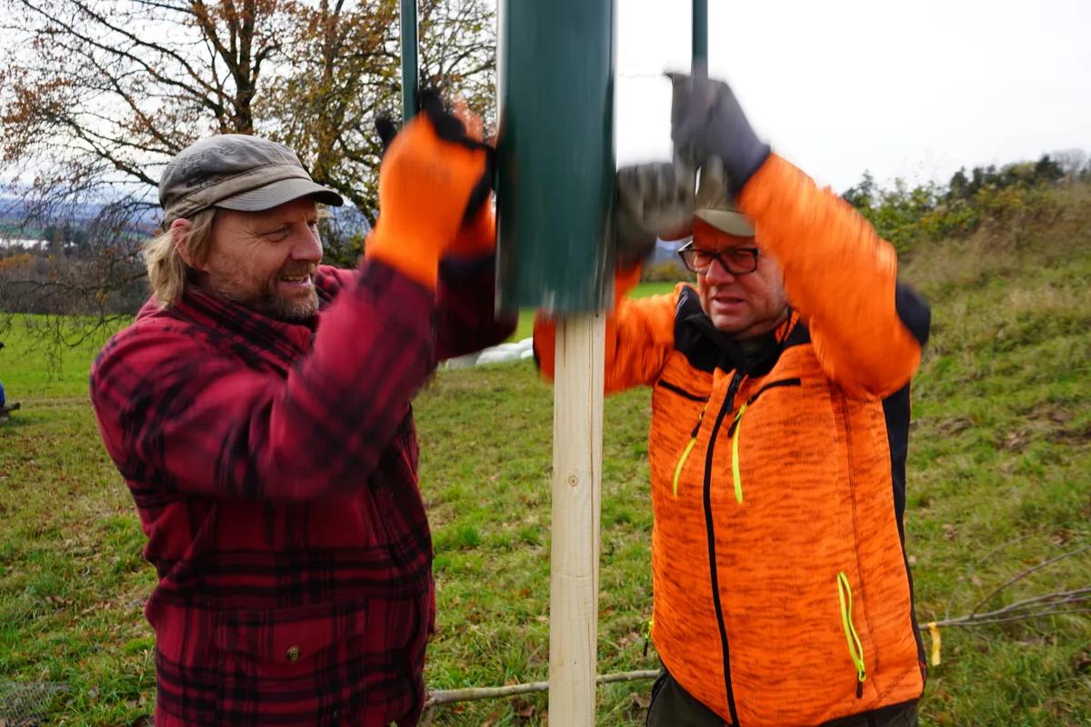 Zwei Männer rammen auf einer Wiese einen Pfahl ein.