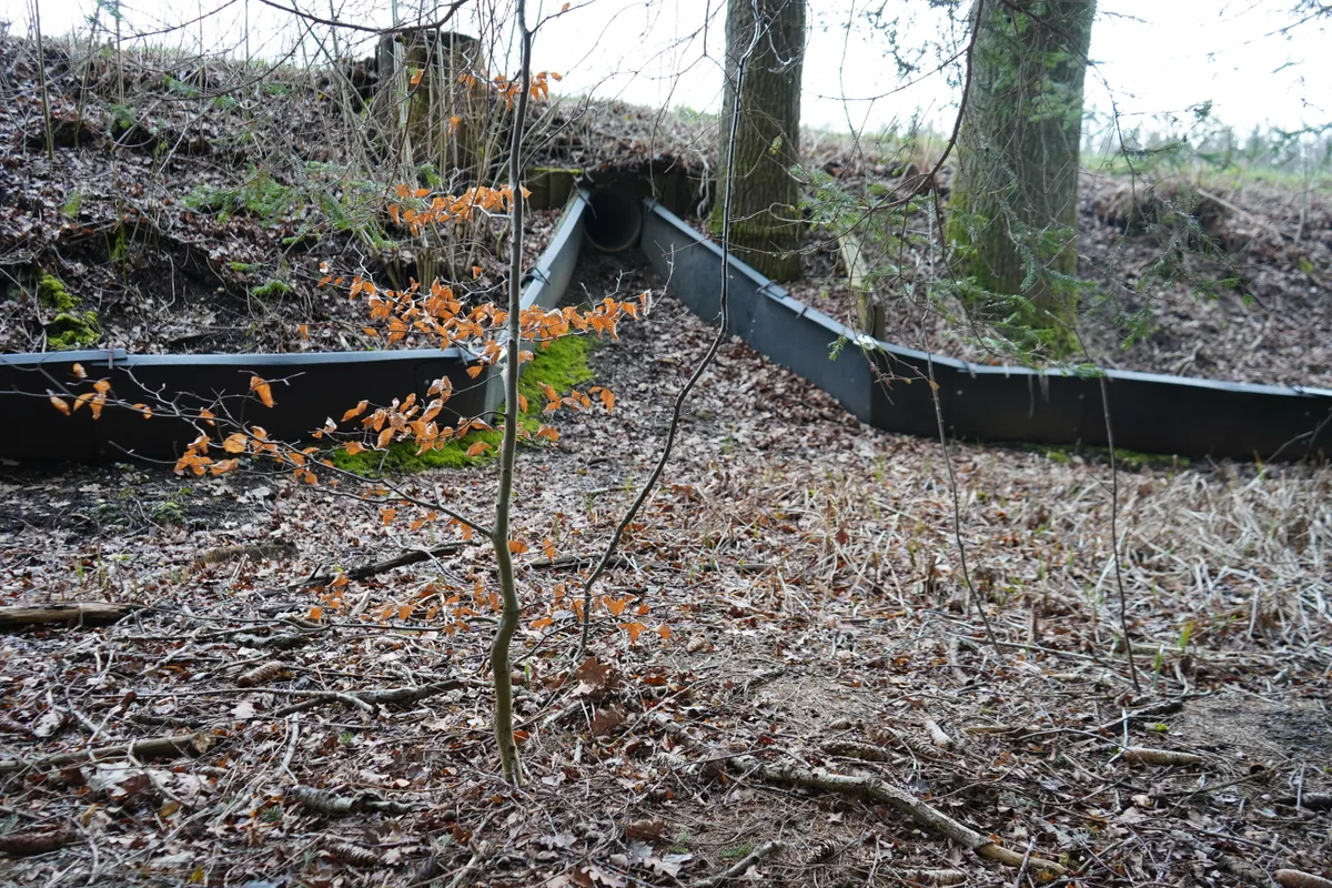Die Amphibienwanderung findet jedes Jahr im Frühling statt. Auch im Oberland gibt es wichtige Laichplätze.