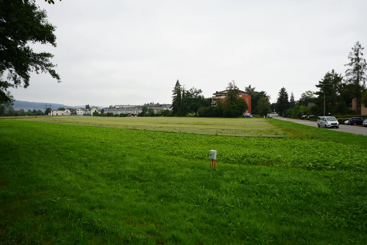 In der Teilrevision der BZO in Schwerzenbach ist der Langä Blätz eines der fokussierten Gebiete.