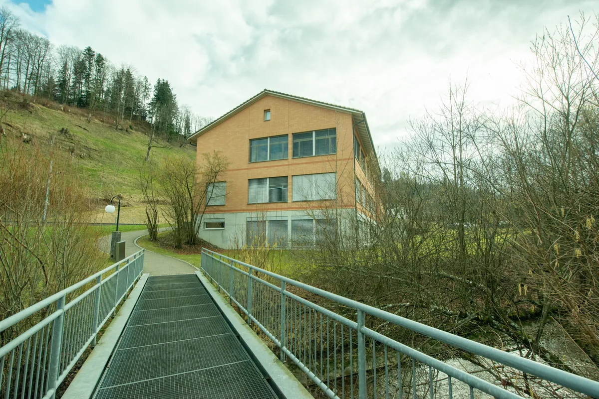 Der Neubau könnte auf dem Areal beim Schulhaus Burghalden erstellt werden. Schulhäuser Schmittenbach und Burghalden, Fischenthal.